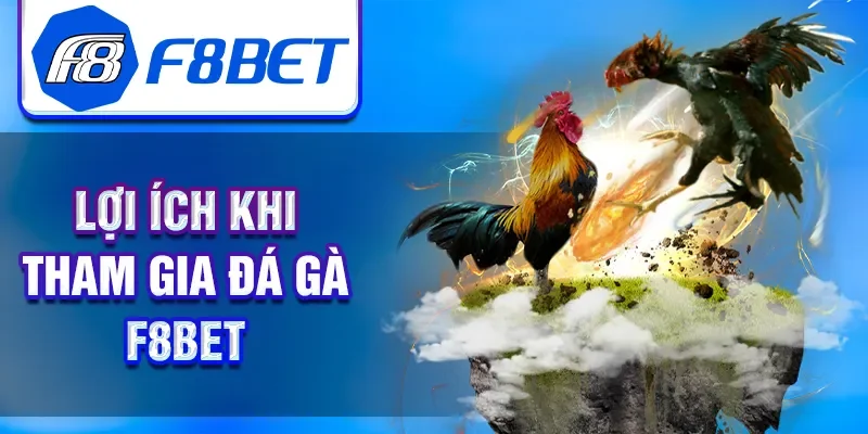 Lợi ích khi tham gia đá gà F8BET