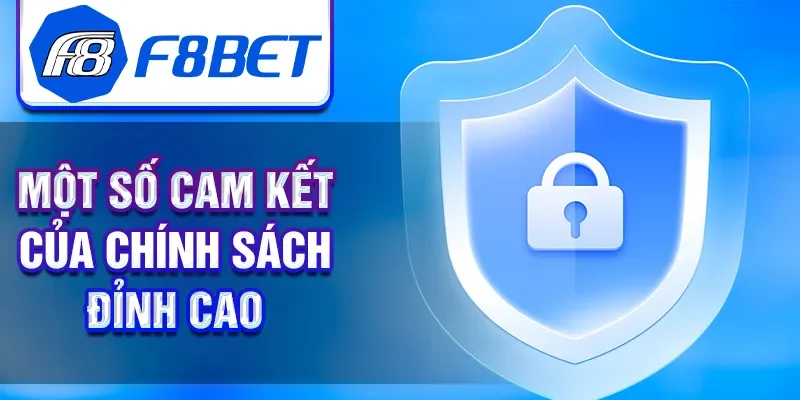 Một số cam kết của chính sách đỉnh cao