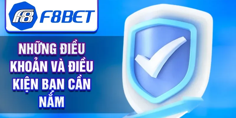 Những điều khoản và điều kiện bạn cần nắm